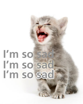 kitten-sad