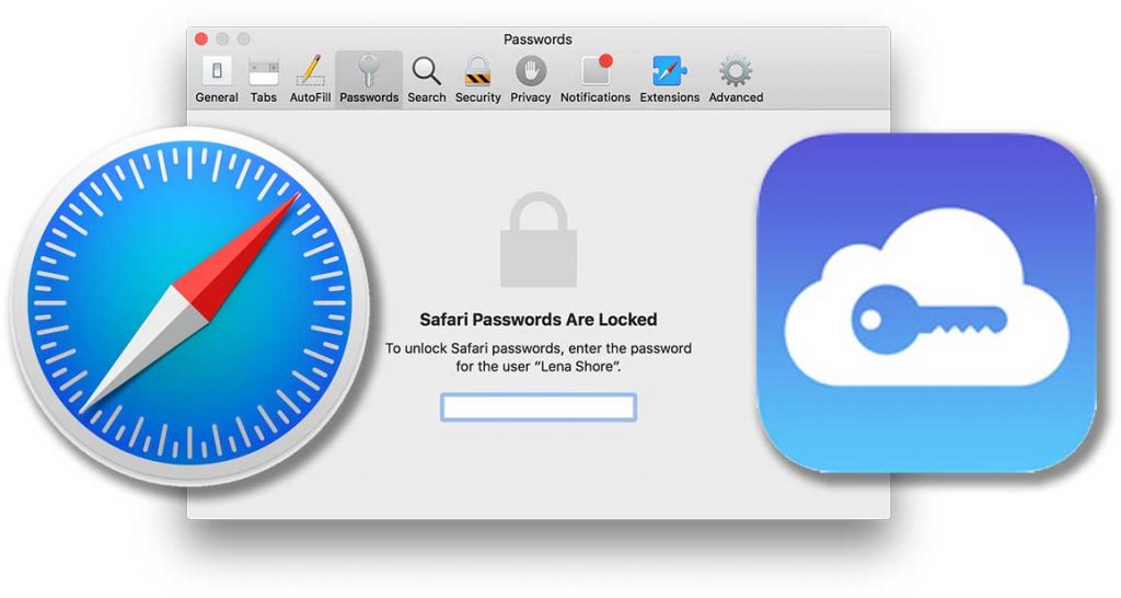 Safari passwords