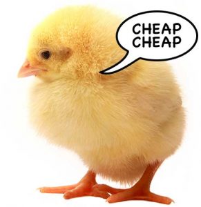 DIY Cheap Website
