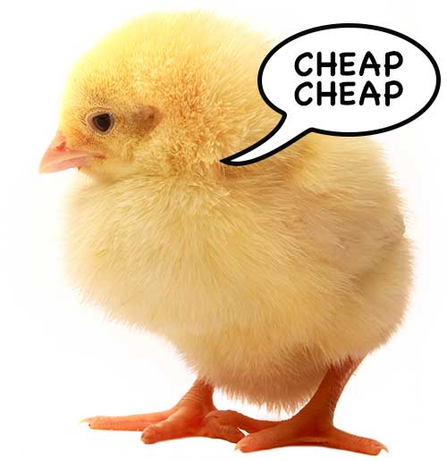 cheap chick        
        <figure class=